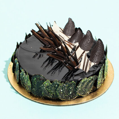 Chocolate Fudge cake